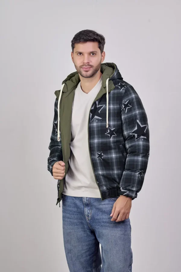 V419 - Imagen 3